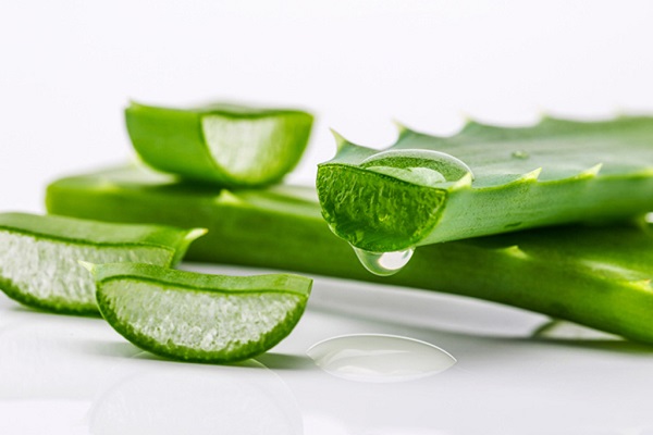 Cách chăm sóc da dầu mụn lỗ chân lông to bằng nha đam