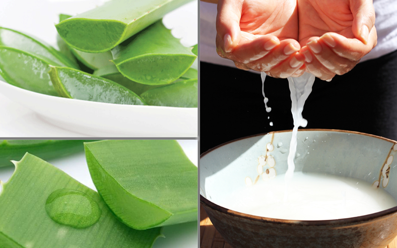 Trị thâm mụn bằng nha đam kết hợp với nước vo gạo Trị thâm mụn bằng nha đam kết hợp với nước vo gạo