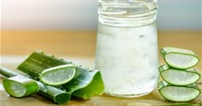 Cách nấu nha đam đường phèn giòn ngon, không đắng