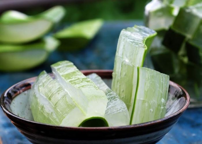 Nha đam lọc lấy thịt, cắt nhỏ sau đó đem ngâm nước muối cho bớt nhớt