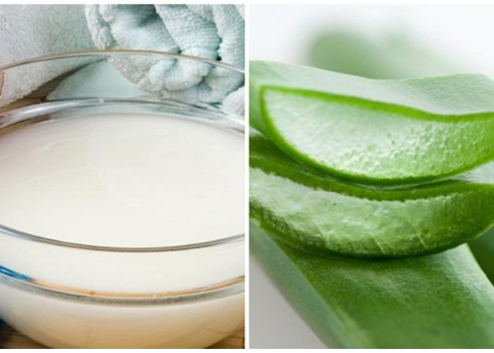 Làm trắng da bằng nha đam và nước vo gạo