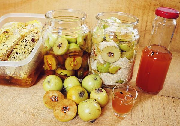 Hướng dẫn cách ngâm rượu táo mèo đơn giản tại nhà Hướng dẫn cách ngâm rượu táo mèo đơn giản tại nhà