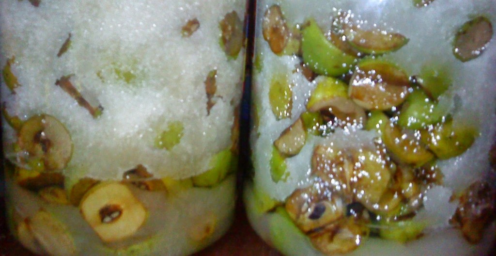 Ngâm táo mèo đơn giản Ngâm táo mèo đơn giản