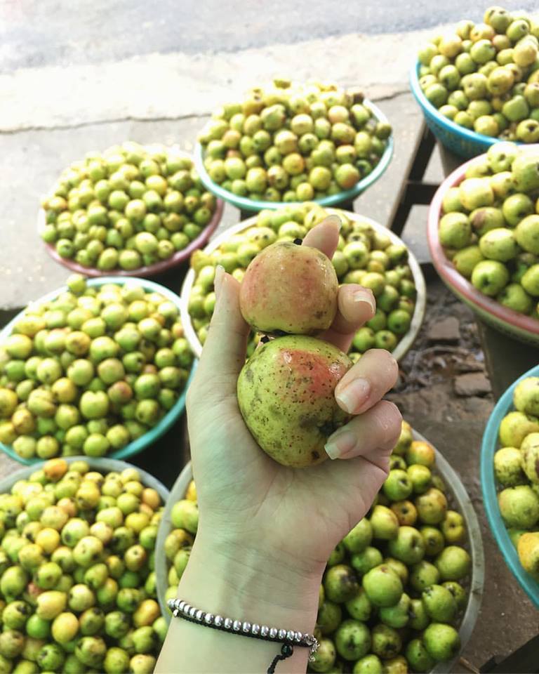 Cách chọn táo mèo Cách chọn táo mèo