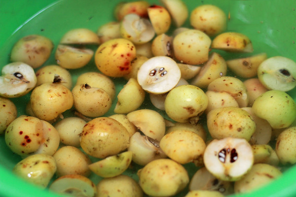 Cách sơ chế táo mèo Cách sơ chế táo mèo