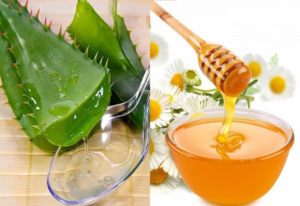 Trị mụn bằng nha đam và mật ong Trị mụn bằng nha đam và mật ong