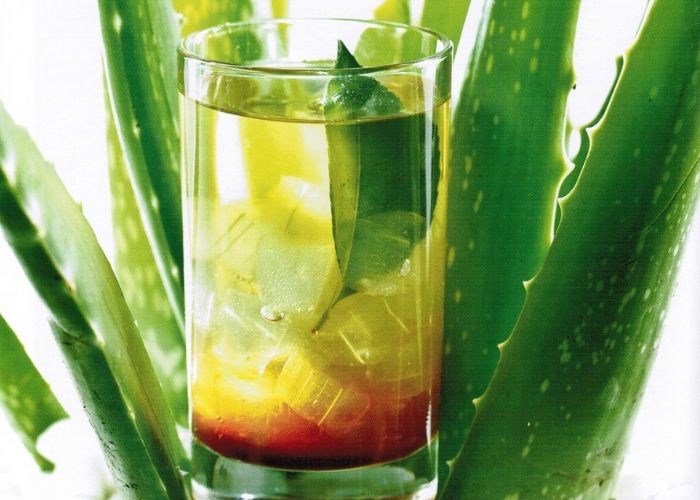 Uống nước nha đam mật ong rất tốt cho mắt