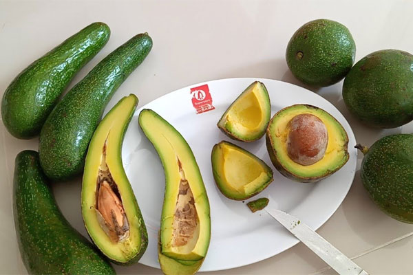 Cách chọn bơ 034