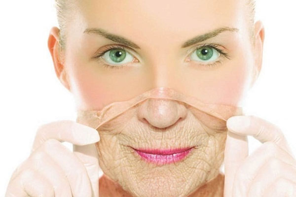 Hạt chia chống lão hóa Hạt chia chống lão hóa