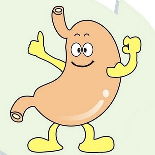 hỗ trợ tiêu hóa hỗ trợ tiêu hóa