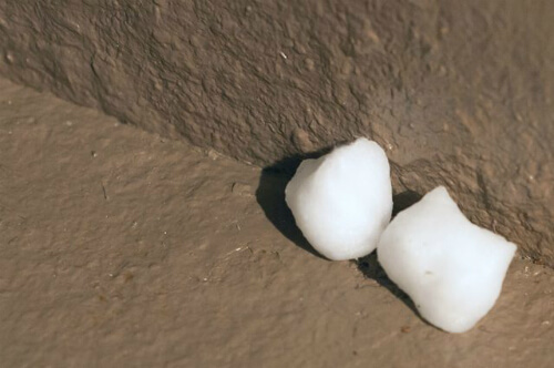 Cách đuổi chuột trong nhà bằng giấm