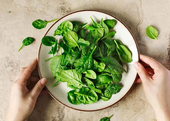 Cải bó xôi có nhiều sắt giúp thúc đẩy sản sinh hồng cầu, bổ máu