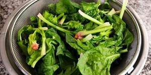 Spinach là gì? Vì sao rau Spinach được khuyên dùng trong thực đơn giảm cân?