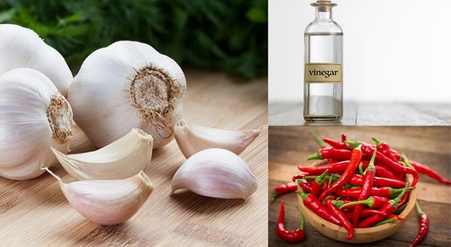 Nguyên liệu chính làm tỏi ngâm giấm