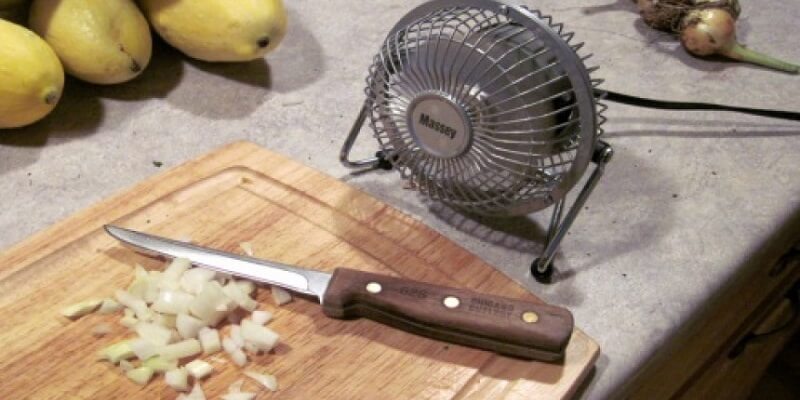 cat-hanh-khong-cay-mat-7