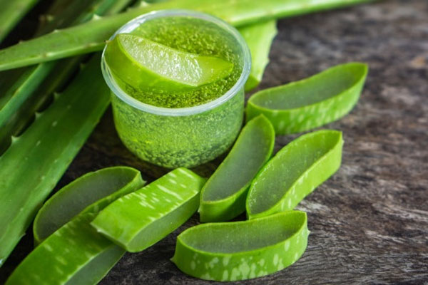 Chữa rụng tóc sau sinh bằng nha đam