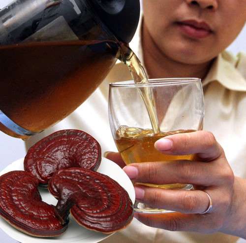 Uống nấm linh chi có tác dụng gì?