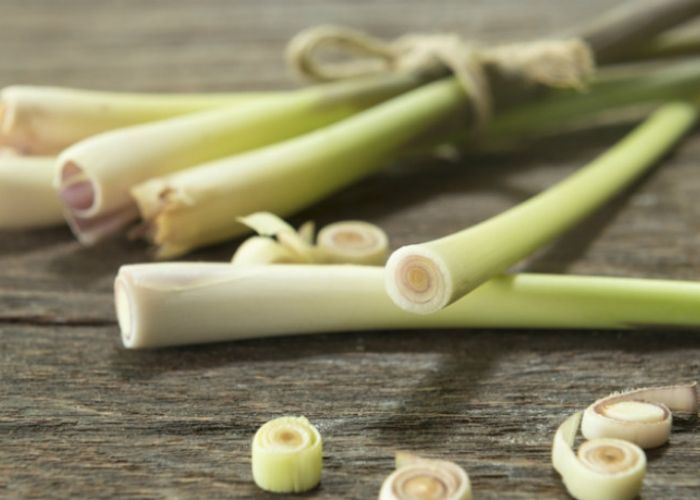 Xông mặt bằng lá tía tô và sả đều đặn 2 lần/tuần bạn sẽ thấy da mặt thay đổi rõ rệt