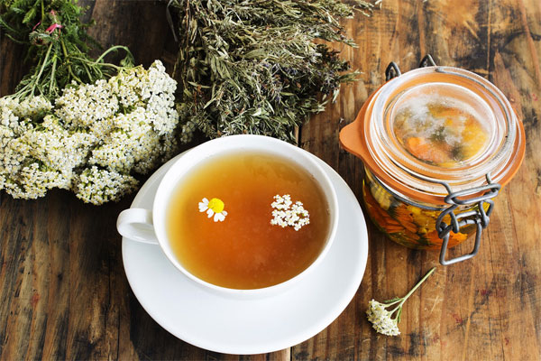 Tác dụng của trà hoa cúc Tác dụng của trà hoa cúc