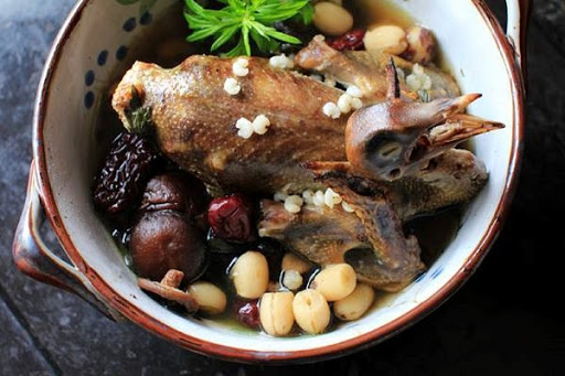 Chim bồ câu tần thuốc bắc