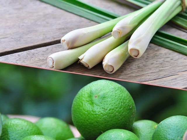 Xông mặt bằng chanh xả