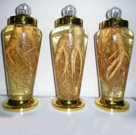 Ngâm đông trùng hạ thảo với nhân sâm