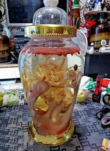 Ngâm rượu đông trùng hạ thảo với nhung hươu