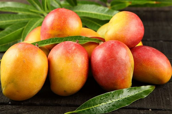 Ăn xoài có nóng không Ăn xoài có nóng không