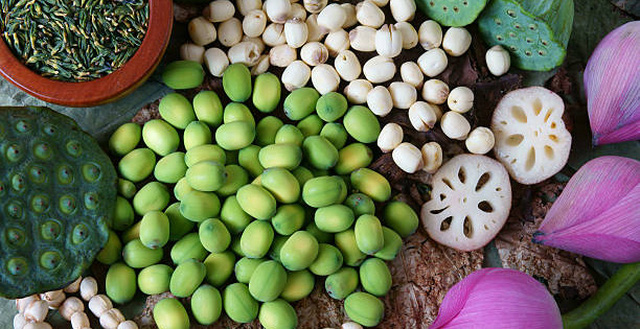 Hạt sen có nhiều chất làm chậm quá trình lão hóa, giúp kéo dài nét tươi trẻ Hạt sen có nhiều chất làm chậm quá trình lão hóa, giúp kéo dài nét tươi trẻ