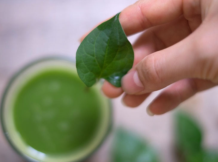 Uống rau diếp cá trị mụn tốt và khá an toàn