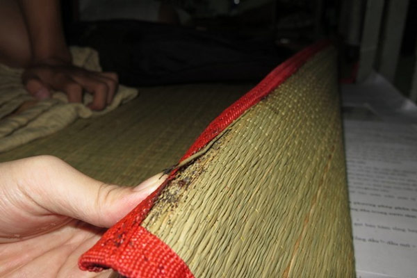 Rệp giường hay ẩn nấp dưới chiếu