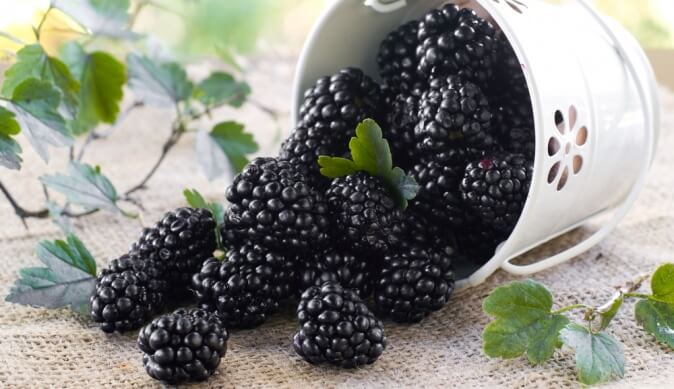 Quả mâm xôi hay còn gọi là Phúc bồn tử Quả mâm xôi hay còn gọi là Phúc bồn tử