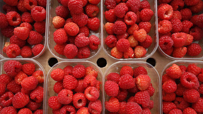 Phúc bồn tử còn có tác dụng chống viêm rất hiệu quả Phúc bồn tử còn có tác dụng chống viêm rất hiệu quả