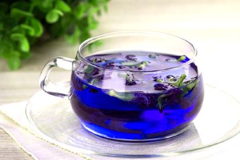 Nước màu hoa đậu biếc sẽ giúp phần thạch rau câu của bạn có màu xanh vô cùng đẹp mắt. Nước màu hoa đậu biếc sẽ giúp phần thạch rau câu của bạn có màu xanh vô cùng đẹp mắt.