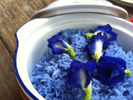 Xôi hoa đậu biếc dẻo, thơm ngon, bắt mắt. Xôi hoa đậu biếc dẻo, thơm ngon, bắt mắt.