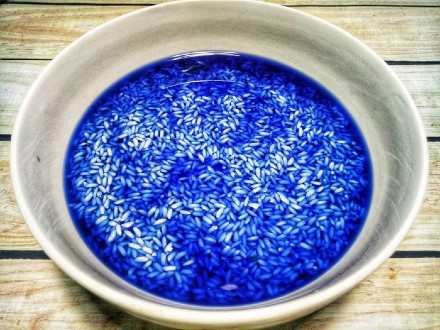 Ngâm gạo nếp trong nước màu hoa đậu biếc để làm xôi hoa đậu biếc. Ngâm gạo nếp trong nước màu hoa đậu biếc để làm xôi hoa đậu biếc.