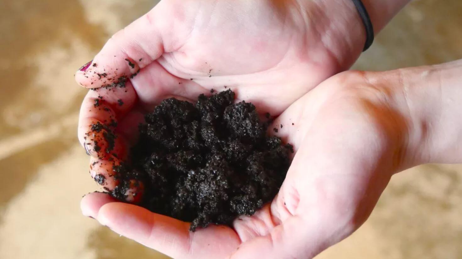 Cách khử mùi tanh trên tay sau khi ăn hải sản