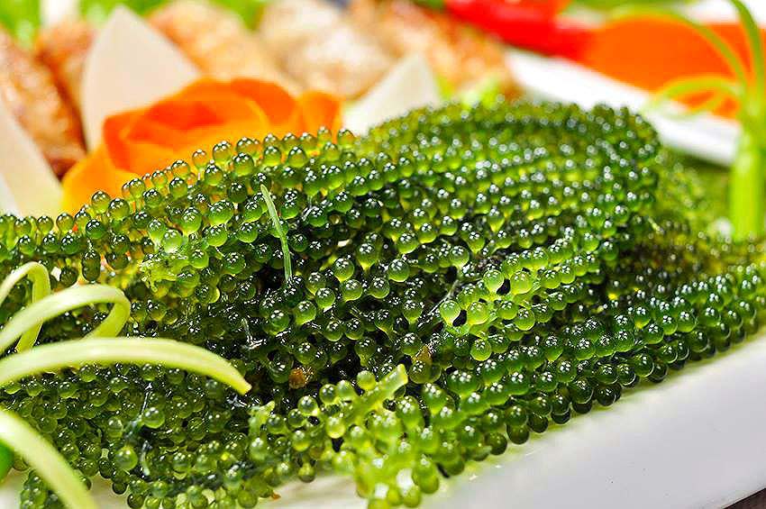 Rong nho - món ăn hót nhất hiện nay