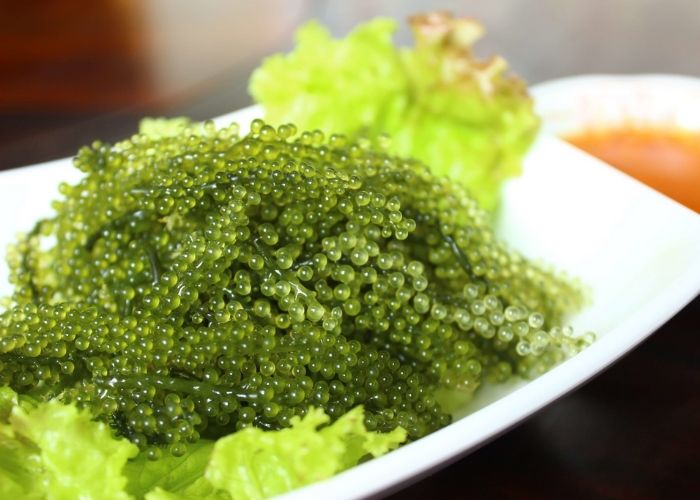 Rong nho có thể dùng để chế biến thành nhiều món ăn khác nhau Rong nho có thể dùng để chế biến thành nhiều món ăn khác nhau