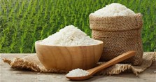 Mua gạo ST25 ngon nhất thế giới ở đâu? Cách phân biệt gạo ST25 thật nhái?