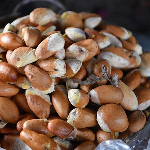 Hạt sầu riêng nướng Hạt sầu riêng nướng