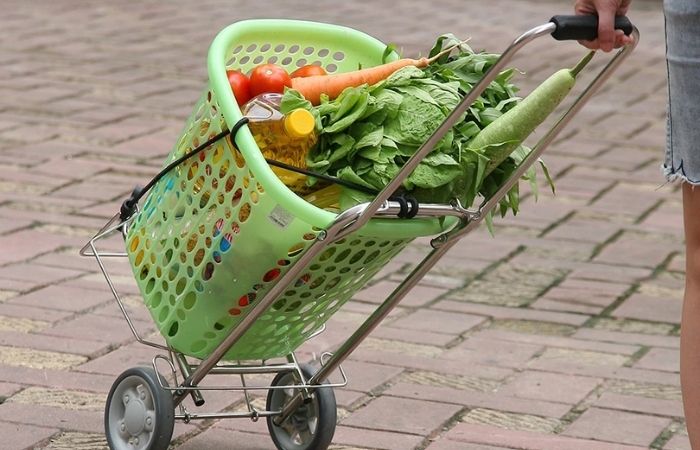 Xe kéo đi chợ cũng là một món quà hữu ích đối với người lớn Xe kéo đi chợ cũng là một món quà hữu ích đối với người lớn