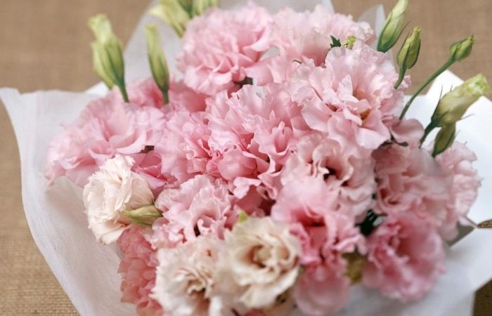 Hoa tươi là món quà tặng mẹ 20 tháng 10 giản dị nhưng nhiều ý nghĩa Hoa tươi là món quà tặng mẹ 20 tháng 10 giản dị nhưng nhiều ý nghĩa