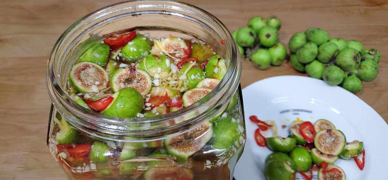 Đợi sung chín là đã có thẻ thưởng thức thành quả Đợi sung chín là đã có thẻ thưởng thức thành quả