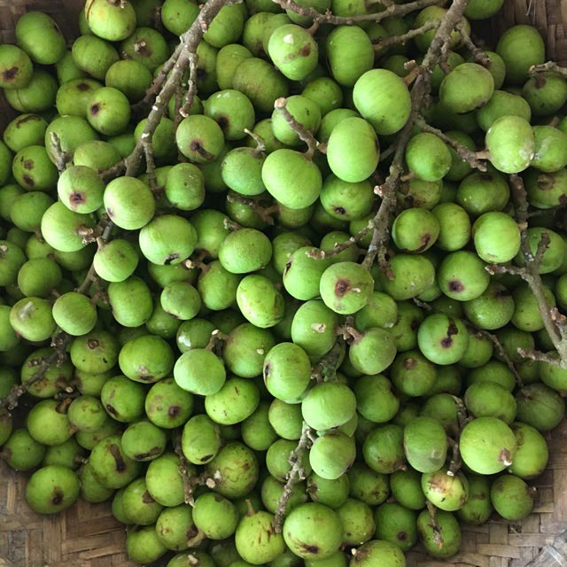 Cách chọn sung ngon Cách chọn sung ngon