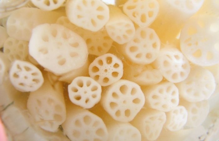 Tác dụng của ngó sen còn phải kể đến việc phòng và trị các bệnh về tiêu hóa Tác dụng của ngó sen còn phải kể đến việc phòng và trị các bệnh về tiêu hóa