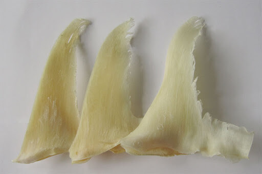 sụn vi cá mập có tác dụng gì?