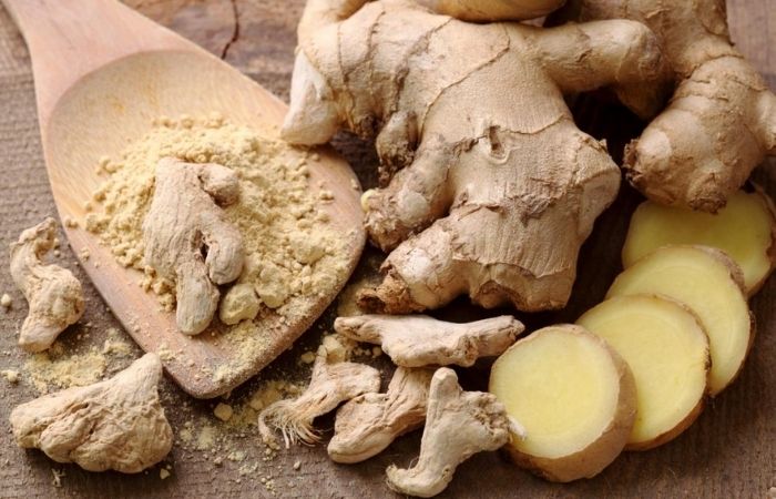 Người ta thường sử dụng gừng trong các chuyến đi bởi tác dụng của gừng với việc chống say tàu xe khá hiệu quả