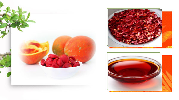 Cách nấu dầu gấc