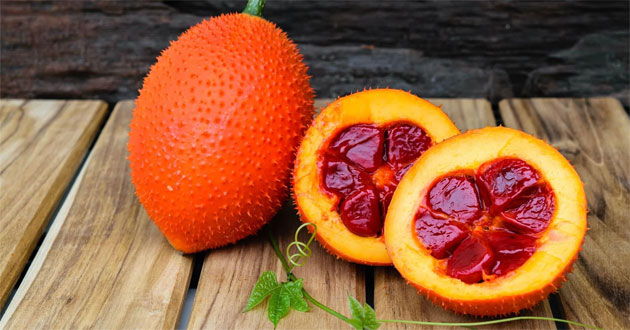 Cách làm dầu gấc